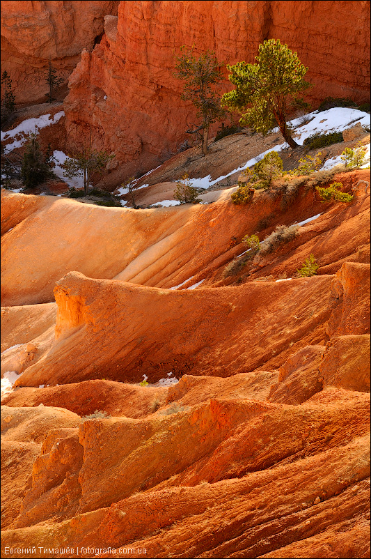 Брайс каньон (Bryce Canyon), США, Юта